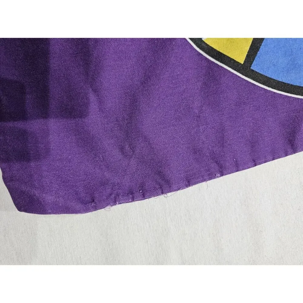 Vintage Batman & Robin, Mr. Freeze Standard Pillowcase 1996 DC Comics